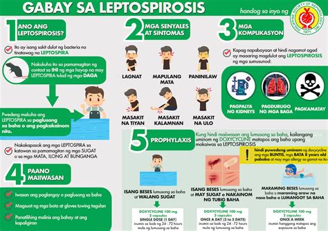 Ano ang gamot sa leptospirosis